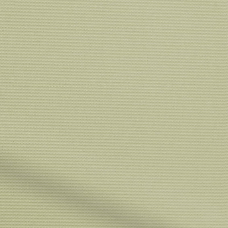 ColorizedZoom  4484