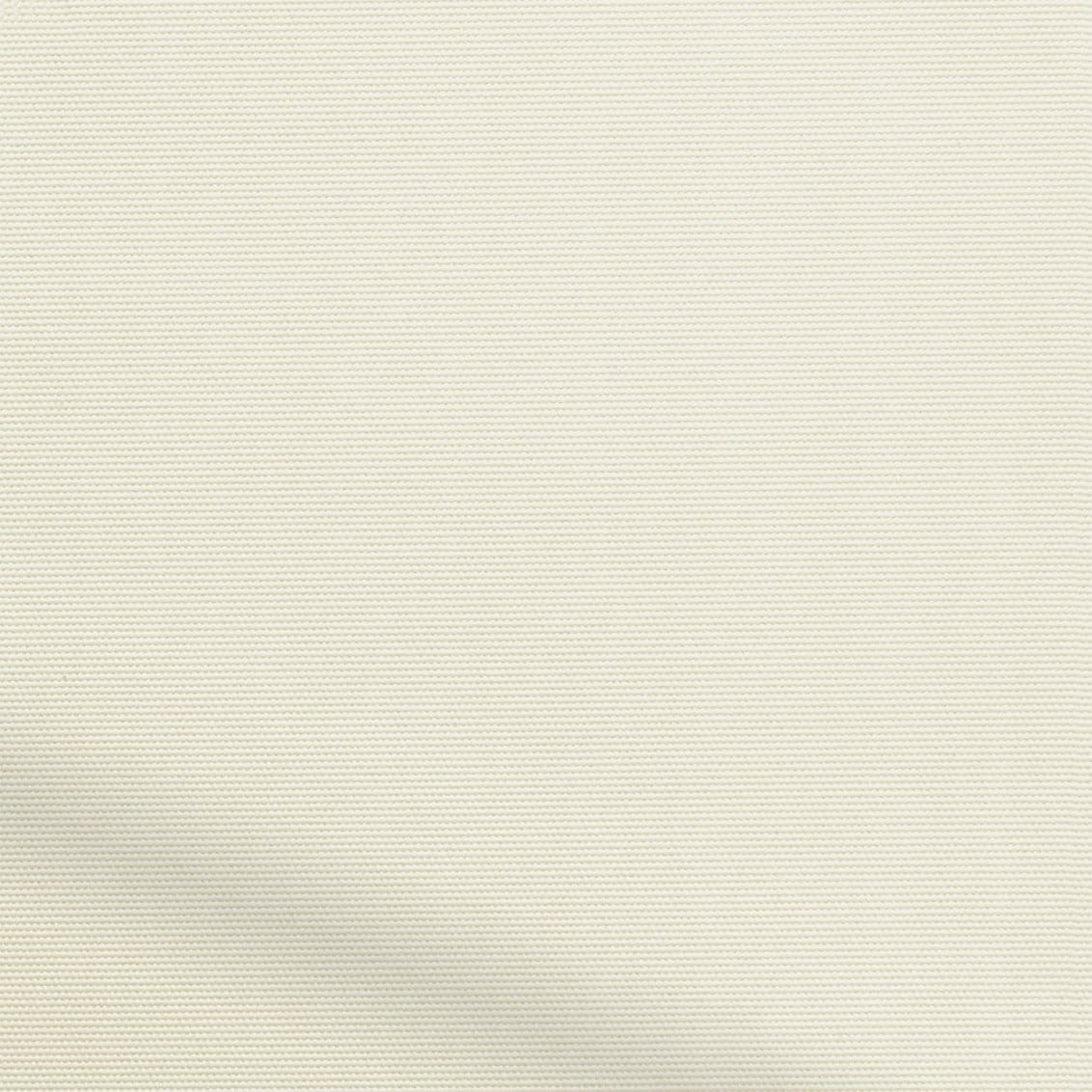 ColorizedZoom  4482