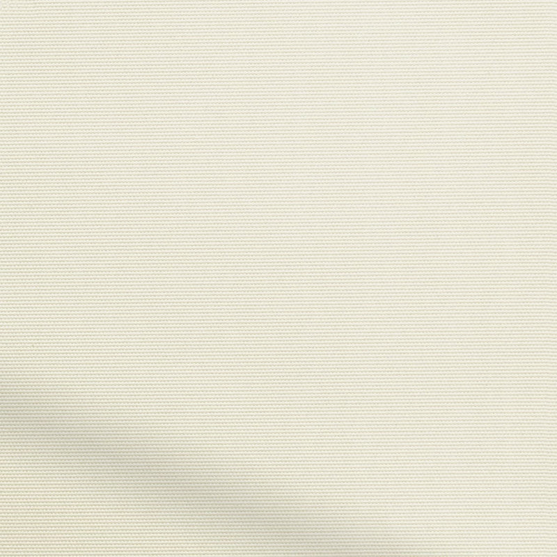 ColorizedZoom  4482