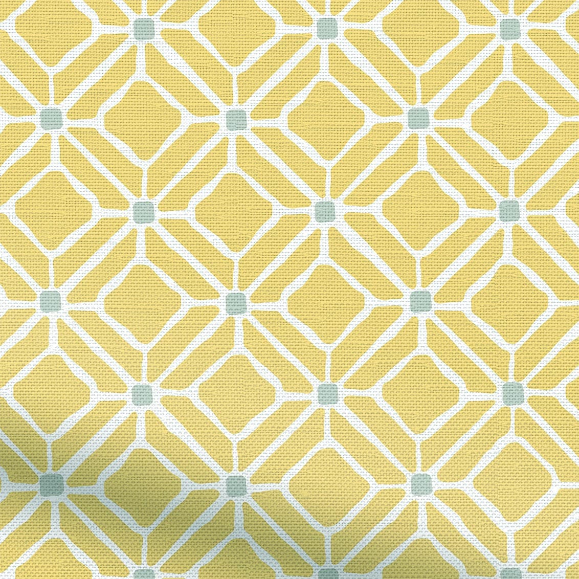 ColorizedZoom  4511