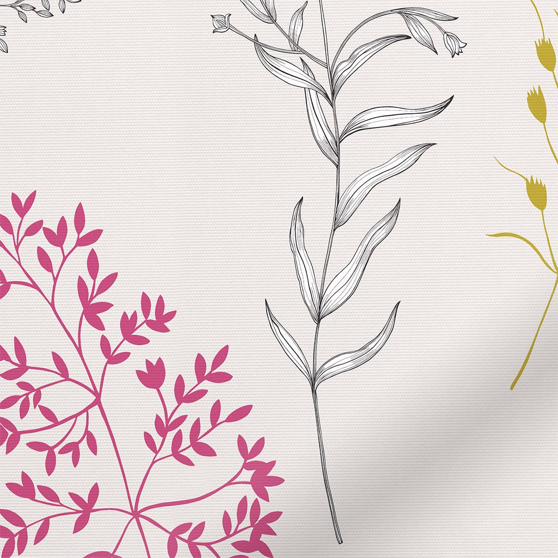 ColorizedZoom  4522
