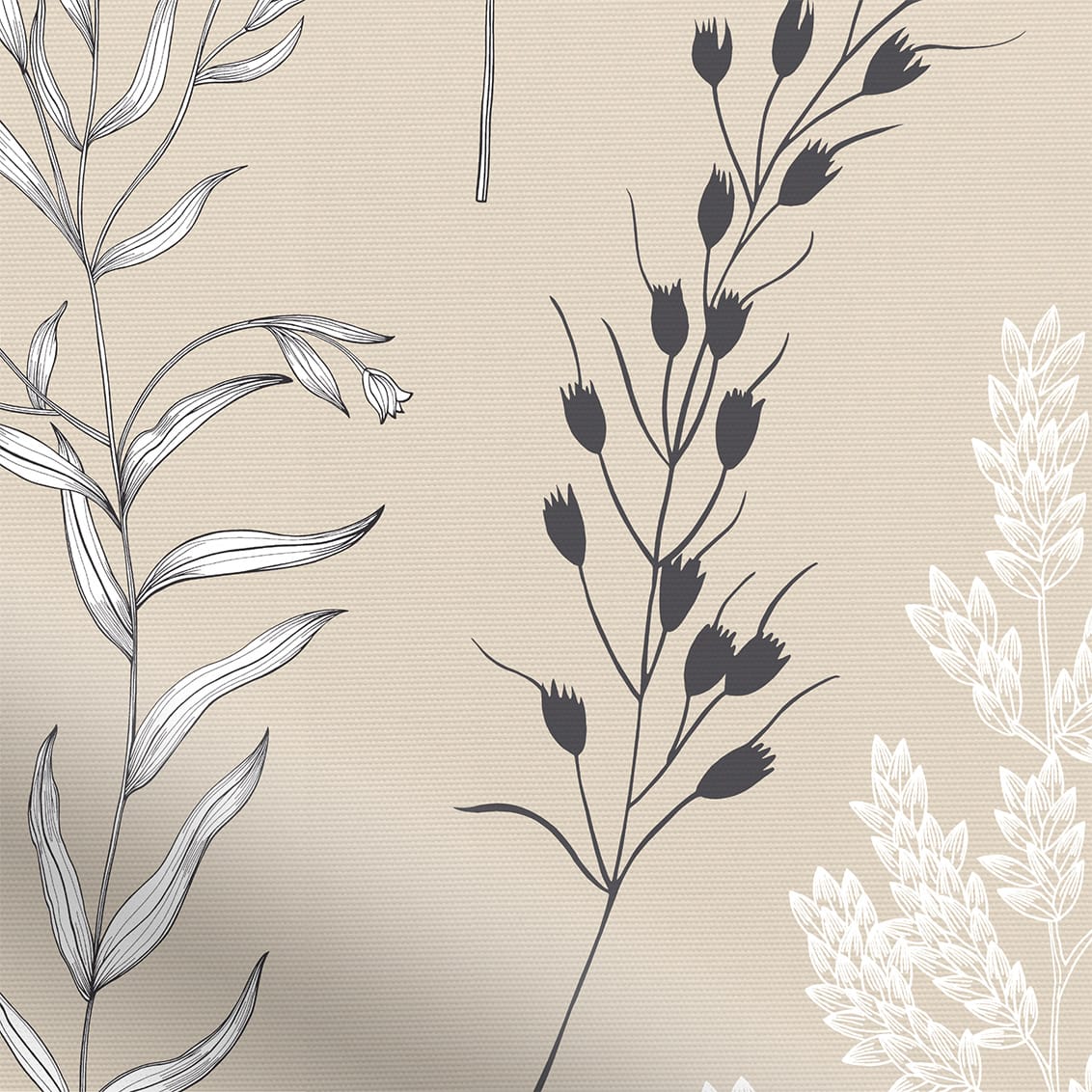 ColorizedZoom  4523