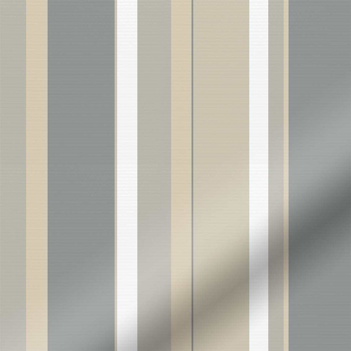ColorizedZoom  4551