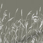 ColorizedZoom  4740