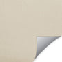 ColorizedZoom  4795