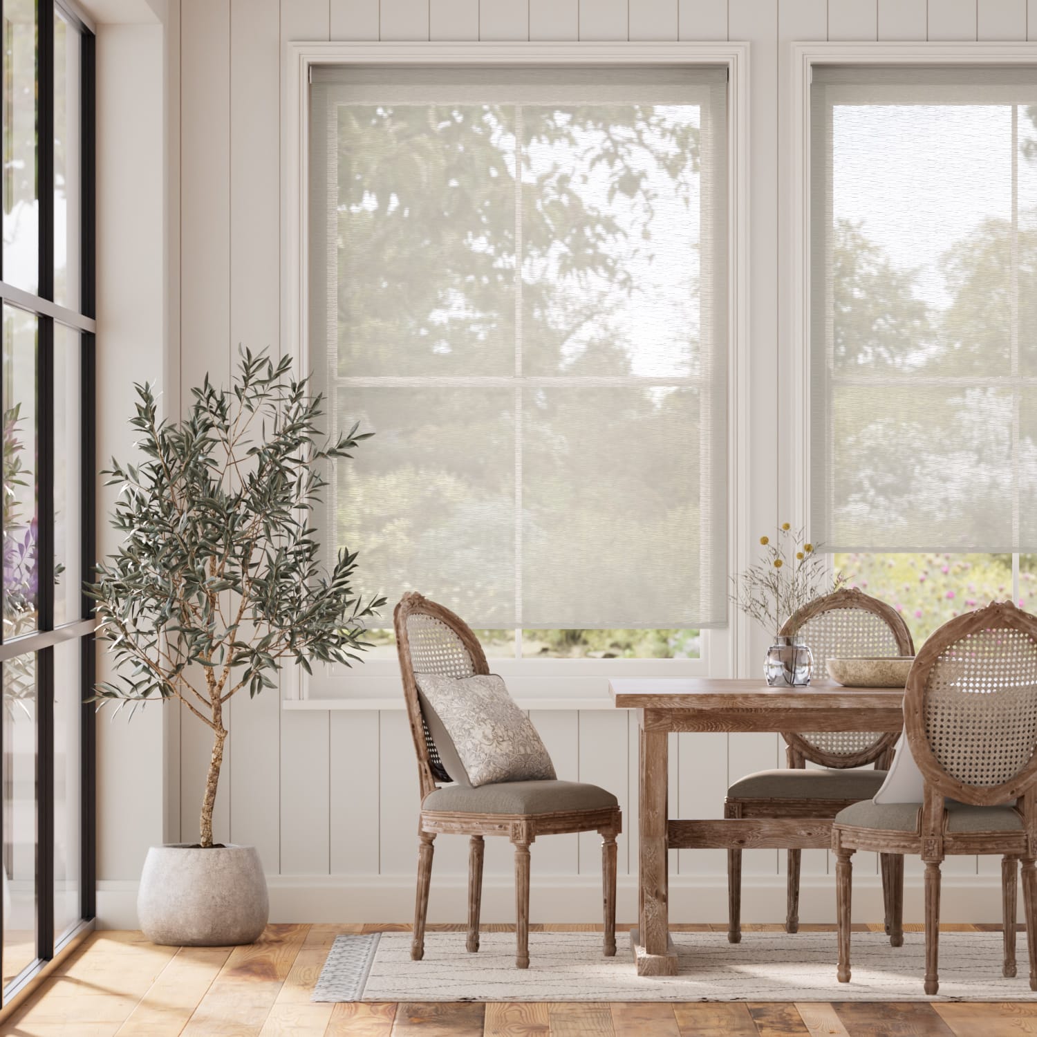 Colorized Oriel Voile Ash Roller Blind