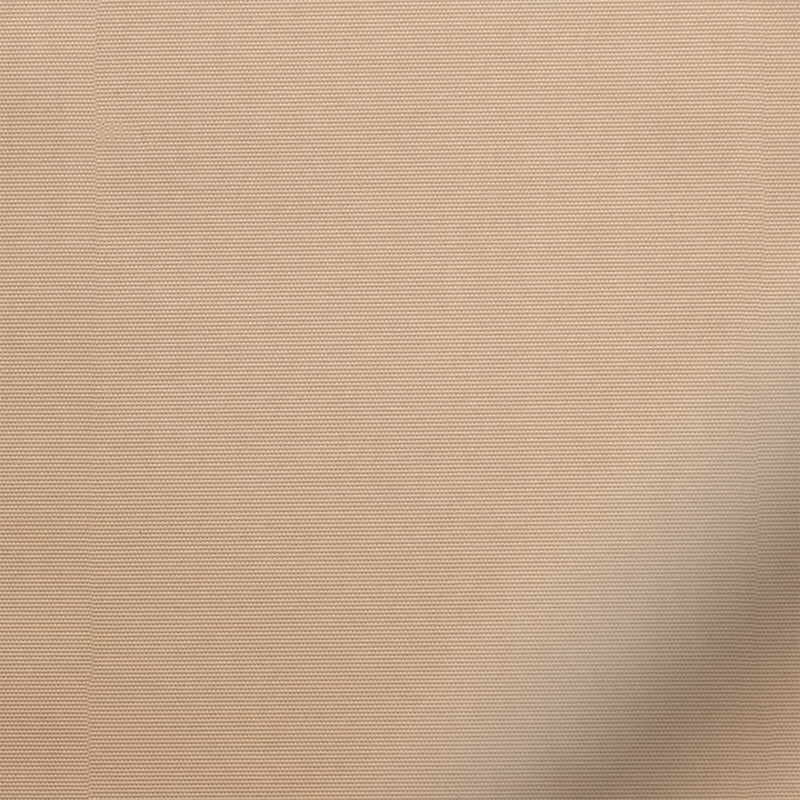 ColorizedZoom  4902