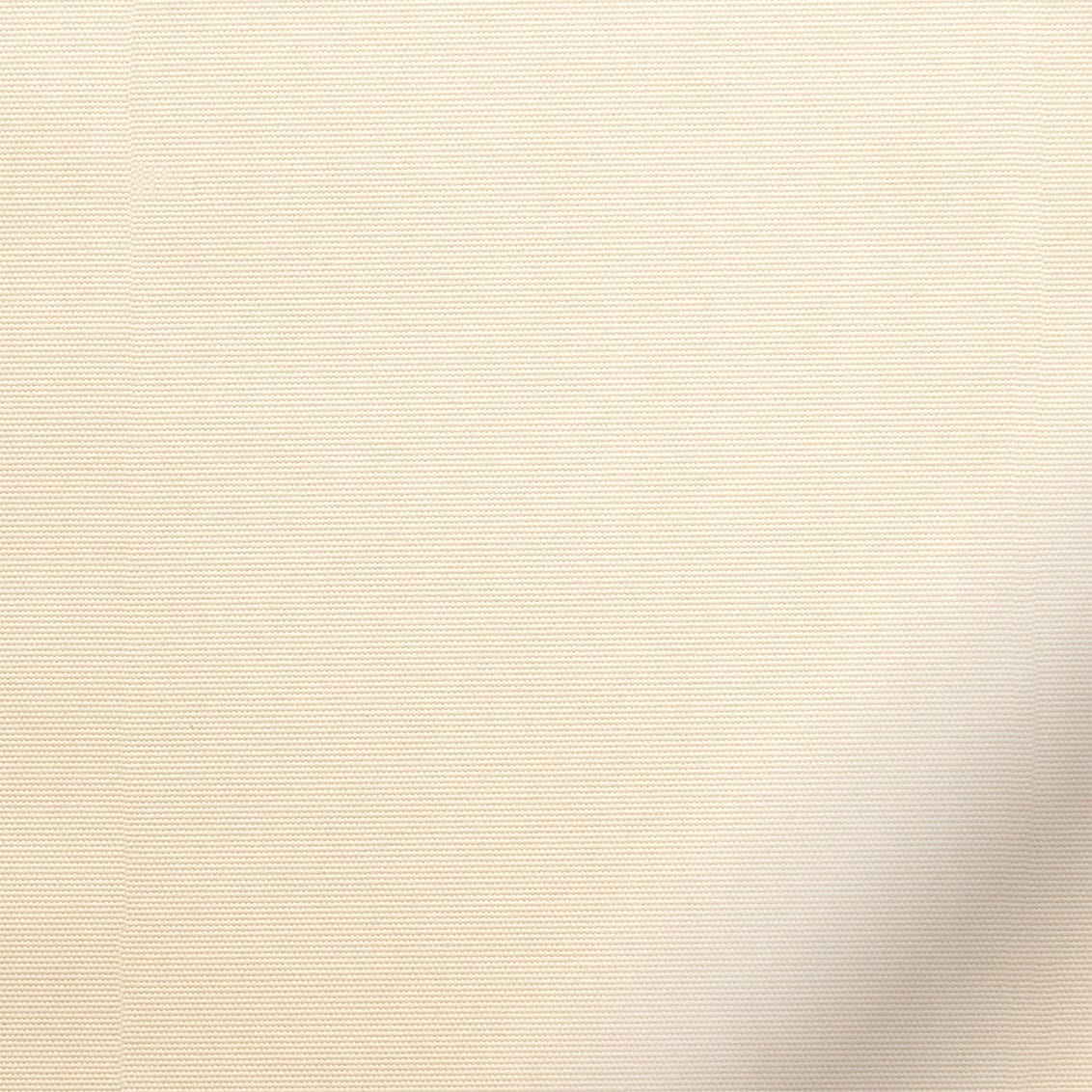 ColorizedZoom  4893