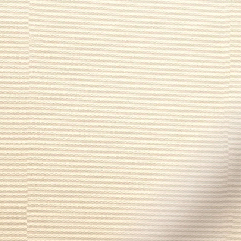 ColorizedZoom  4942