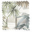 ColorizedSwatch Twist2Go Mountain Palm Dawn Roller Blind sample image 5076