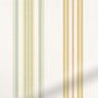 ColorizedZoom  5332