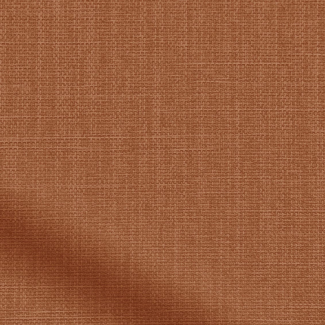 ColorizedZoom 