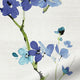ColorizedPLA Fuji Blossom Faux Silk Azure Roman Blind 7294
