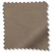 ColorizedSwatch 
