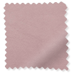 ColorizedSwatch 
