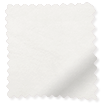 ColorizedSwatch 