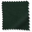 ColorizedSwatch 