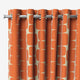 ColorizedZoom  5499