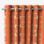 ColorizedZoom  5499