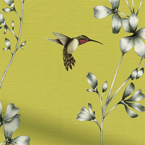 ColorizedPLA Amazilia Lime Curtains 5595