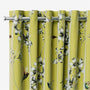 ColorizedZoom  5595