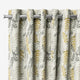 ColorizedZoom  5708