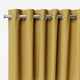 ColorizedZoom  5751