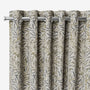 ColorizedZoom  5834