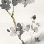 ColorizedPLA Fuji Blossom Faux Silk Cloud Curtains 6101