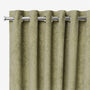 ColorizedZoom  6198