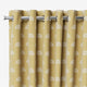 ColorizedZoom  6212