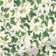 ColorizedPLA Ivy Green Curtains 6297