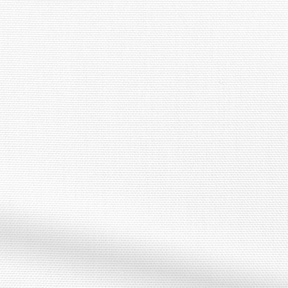 ColorizedPLA Choices Penrith Bright White Roller Blind 8018