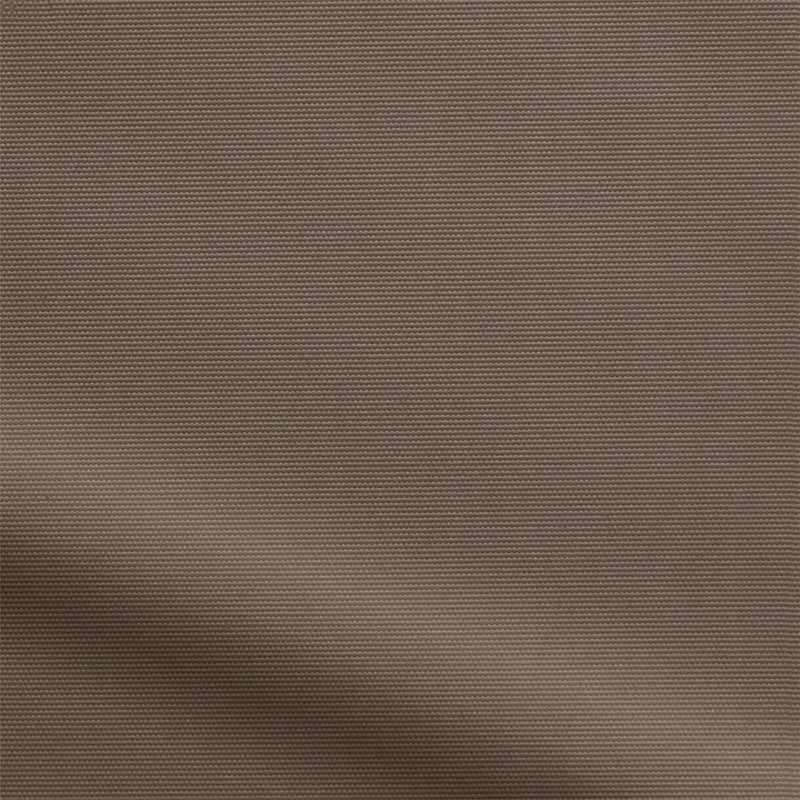 ColorizedZoom  8317