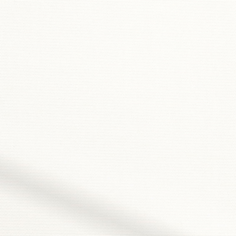 ColorizedZoom  8323