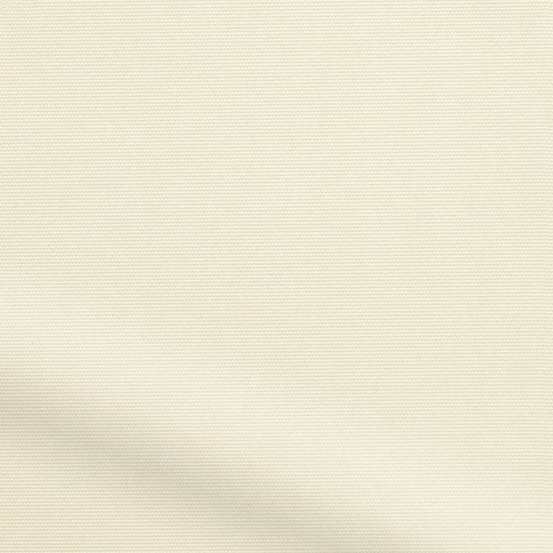 ColorizedZoom  8318