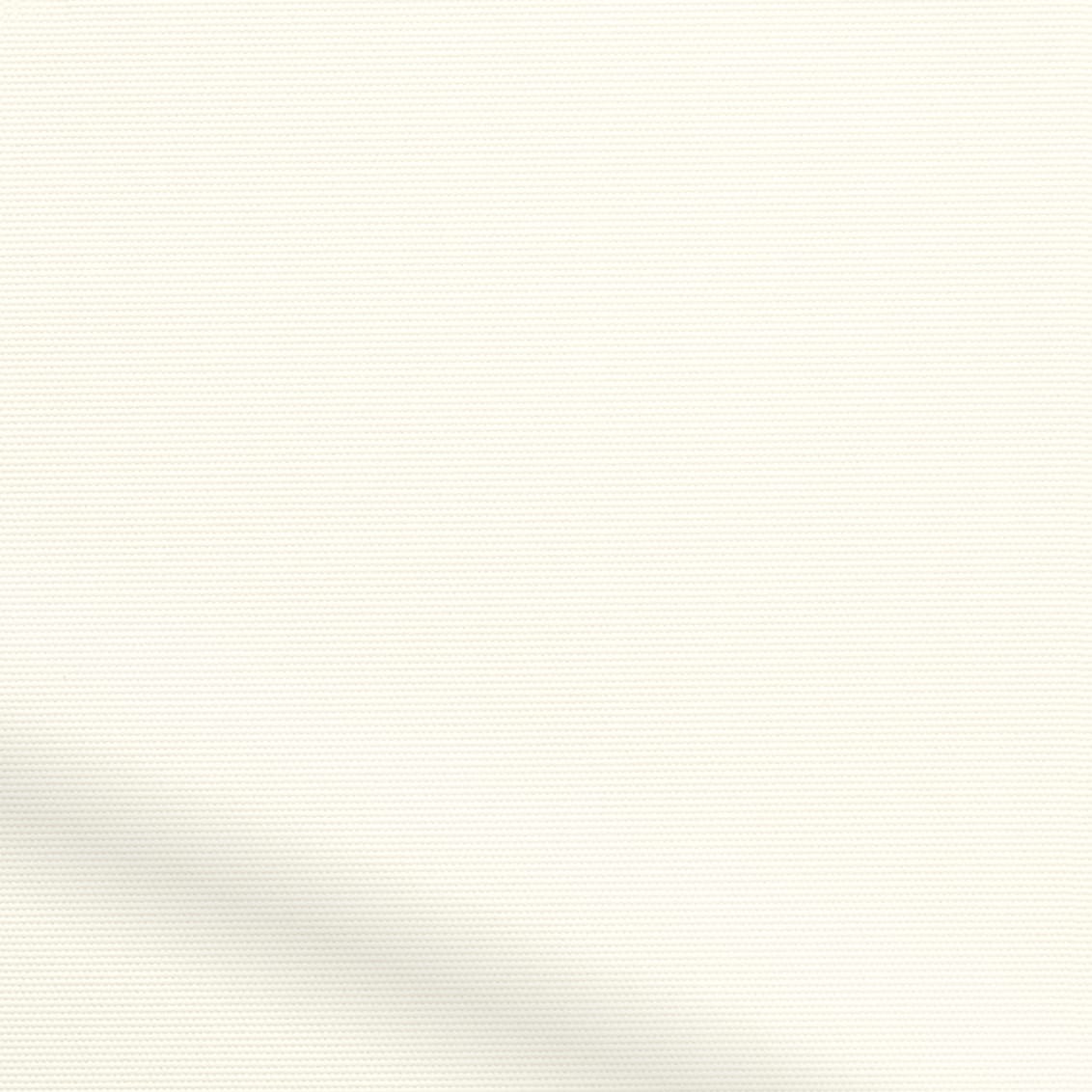 ColorizedZoom  8322