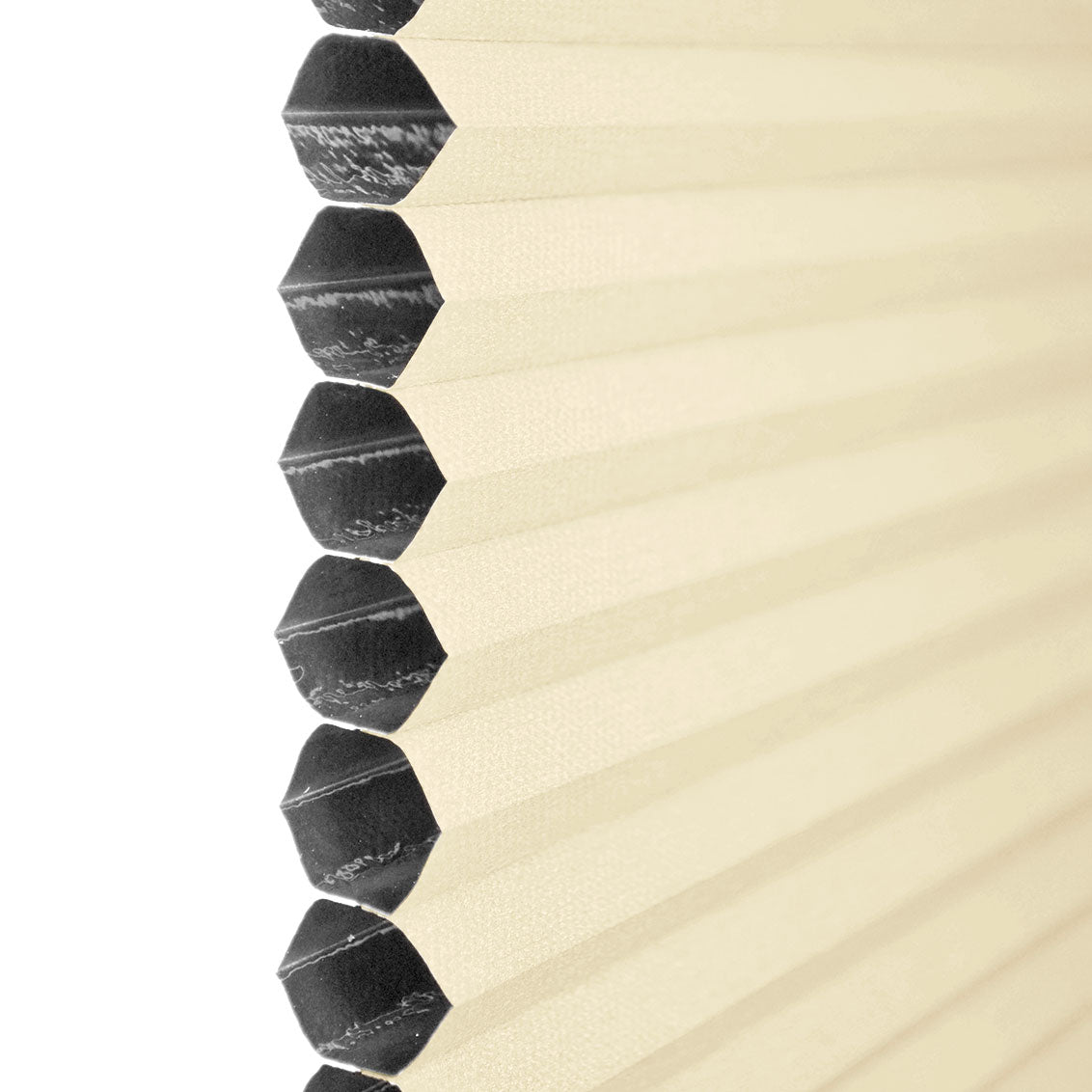 ColorizedZoom  8330