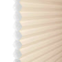ColorizedZoom  8374