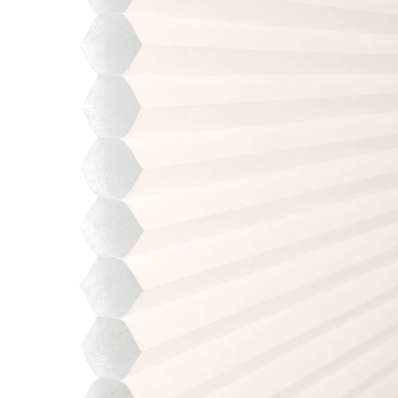 ColorizedZoom  8381