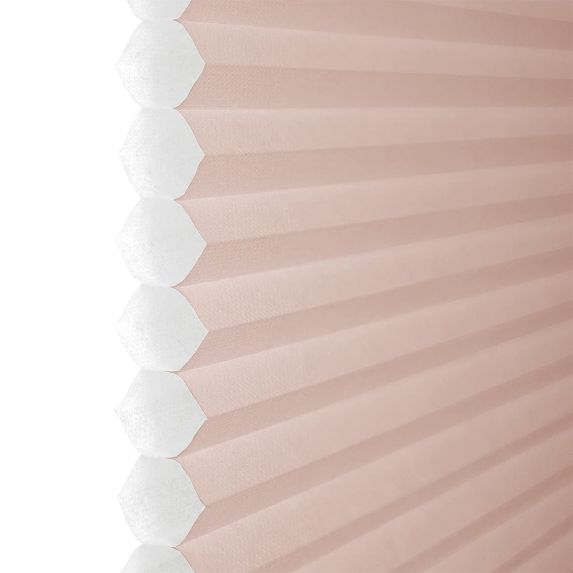 ColorizedZoom 
