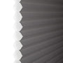 ColorizedZoom  8409
