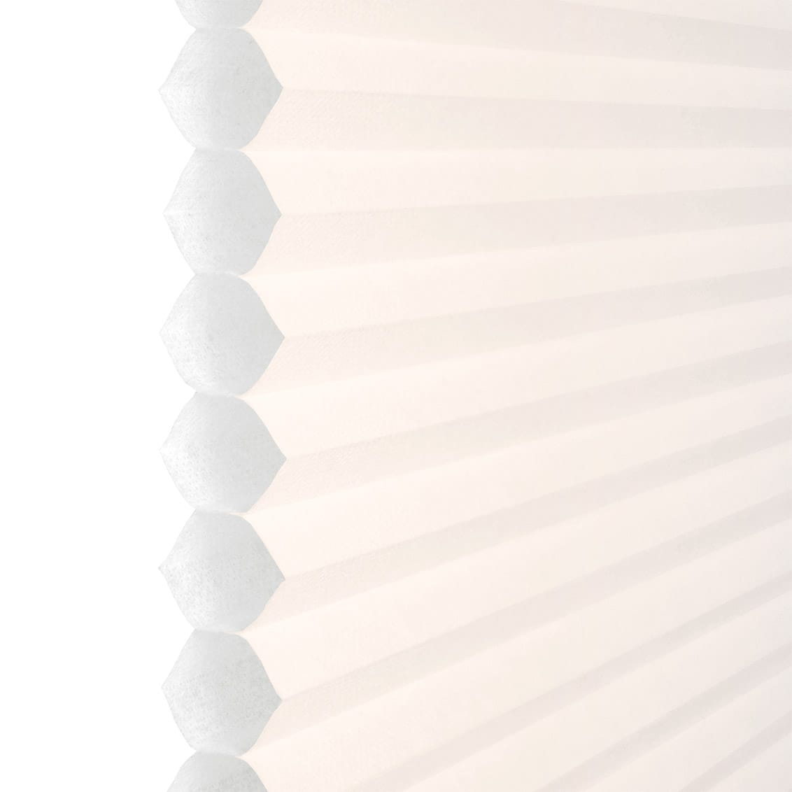 ColorizedZoom  8415