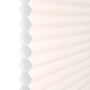 ColorizedZoom  8415