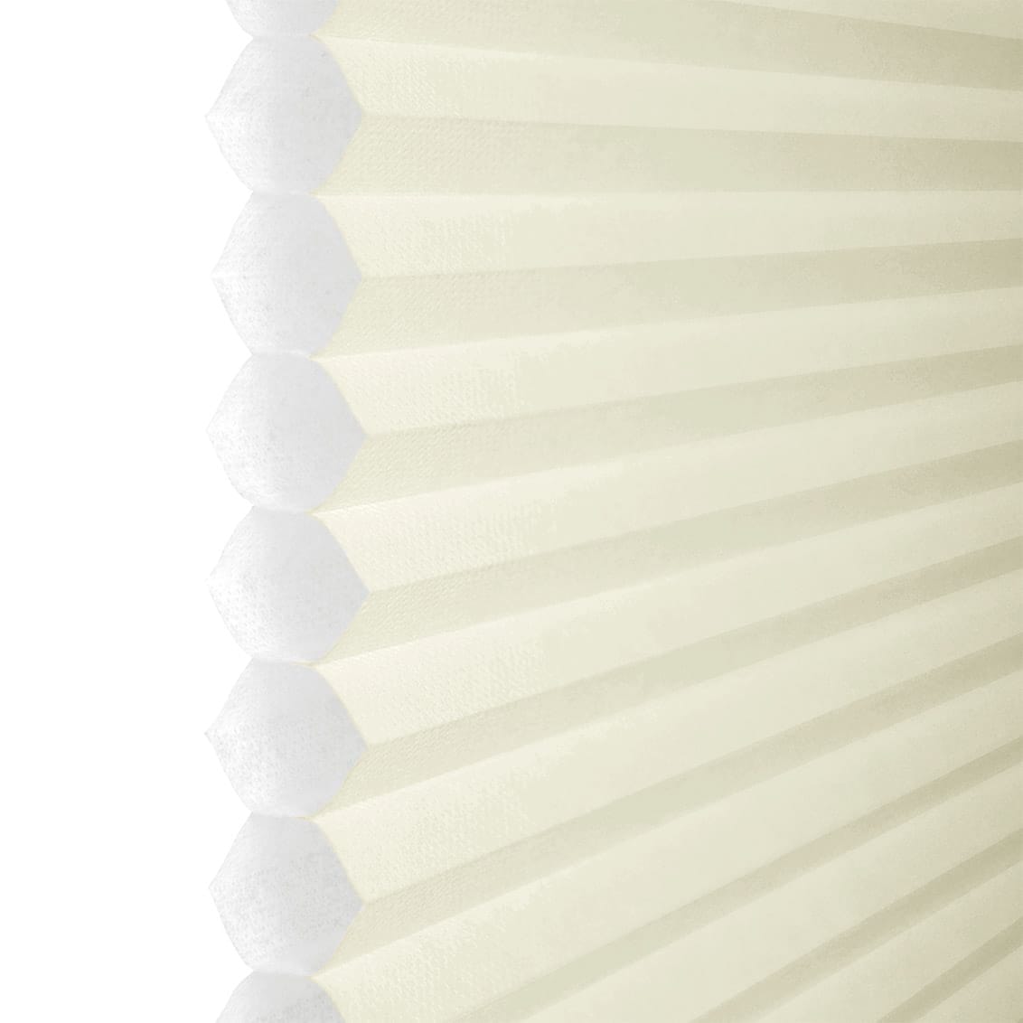 ColorizedZoom  8403