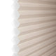 ColorizedZoom  8405