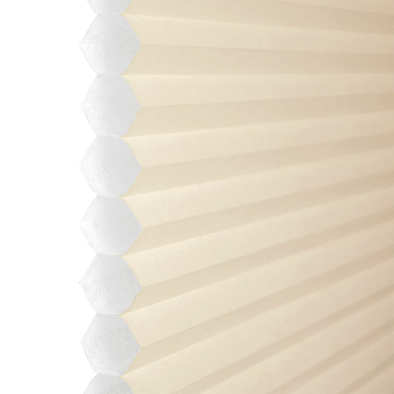 ColorizedZoom  8417