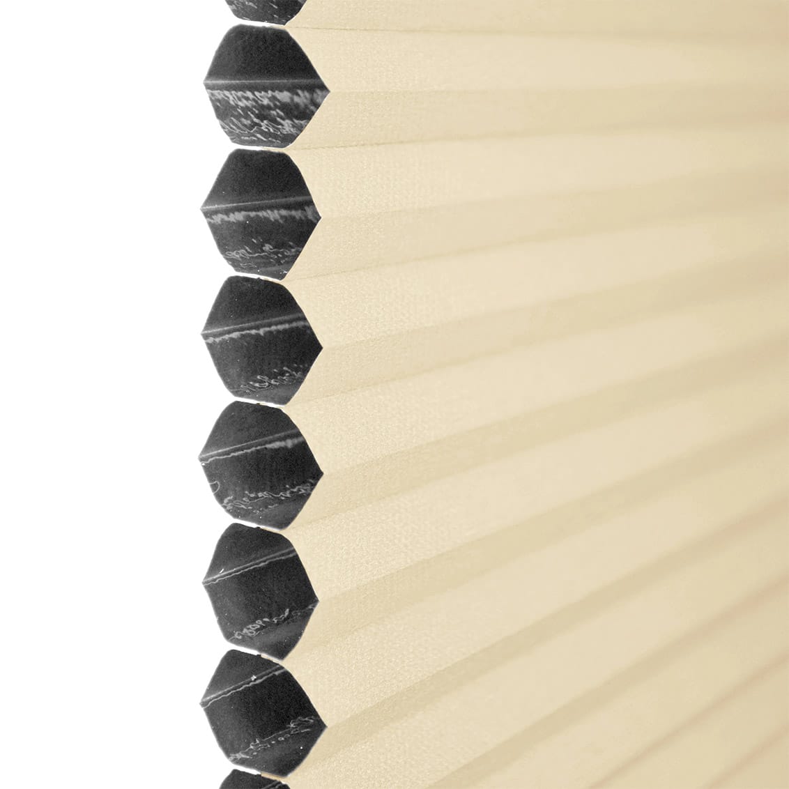 ColorizedPLA  8455