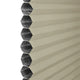 ColorizedZoom  8457