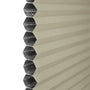 ColorizedZoom  8457